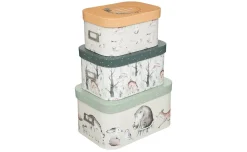 Animal scatola in cartone colorata 37x19 cm