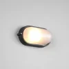 Applique Alano ovale nera lunghezza 21,3 cm