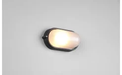 Applique Alano ovale nera lunghezza 21,3 cm
