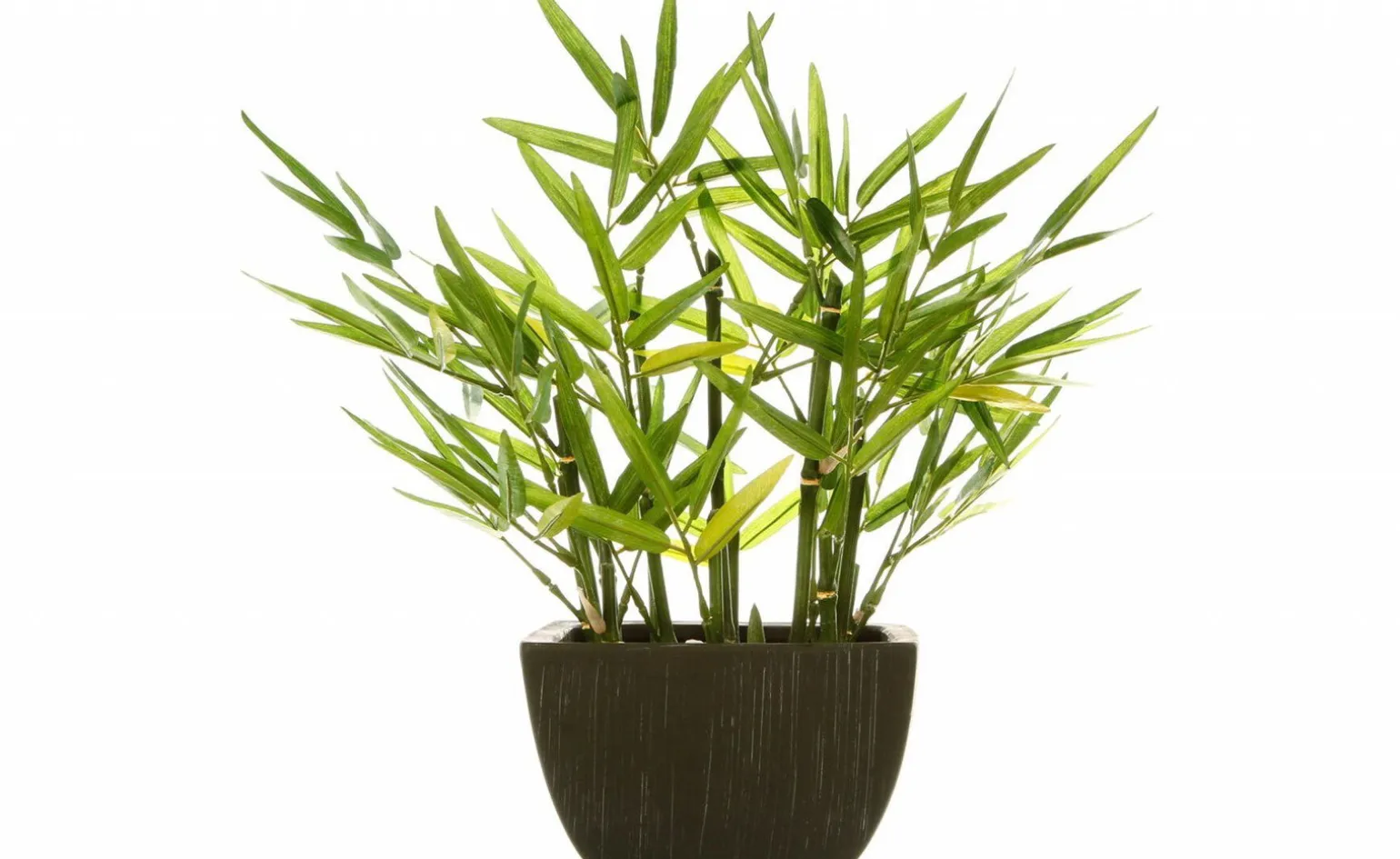 Bamboo pianta artificiale in vaso h35 cm