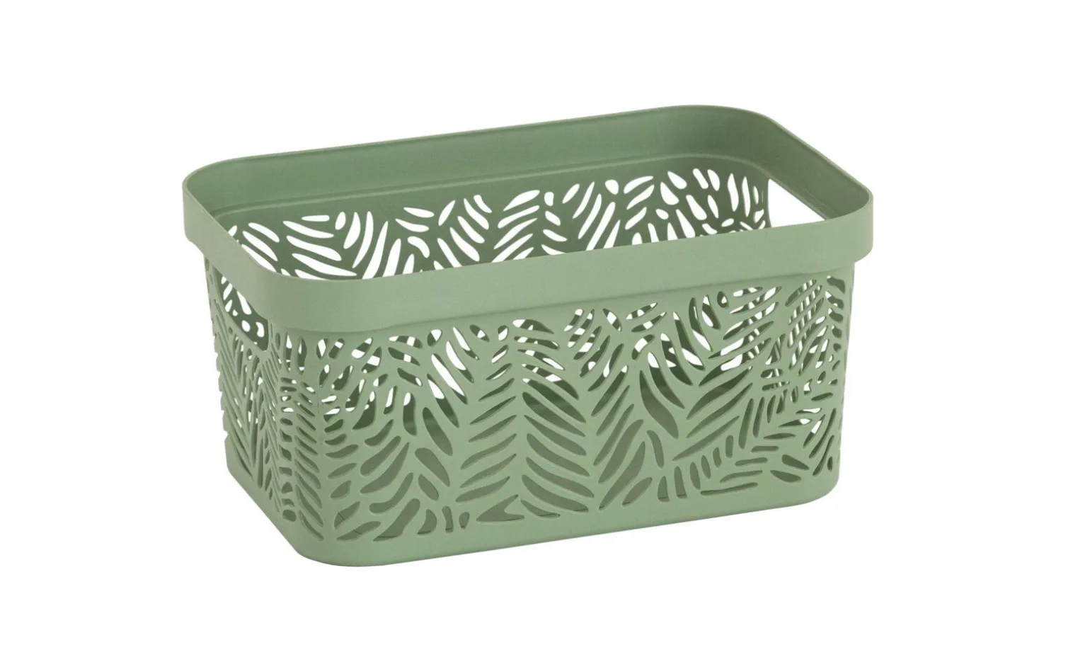 Contenitore jungle 4 litri