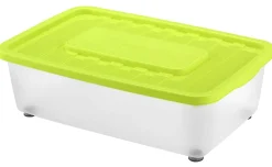 Contenitore Sottoletto con Coperchio 56x37x18 cm