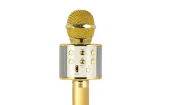 Hollywood microfono wireless per karaoke, oro